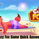 Crazy Fox Game Quick Answers